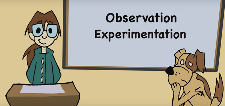 Behaviourism 101 (video)