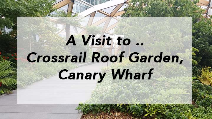 A Visit to Crossrail Roof Garden, Canary Wharf