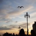 End of 2010s: My Decade Recap